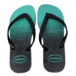 Chinelo Masculino Havaianas Listrado